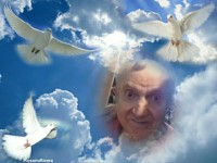 /album/guszti/imikimi-zo-photo-1-jpeg/